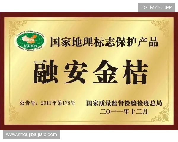 AG黄金城网用户评价真实反馈助你了解平台信誉与服务质量