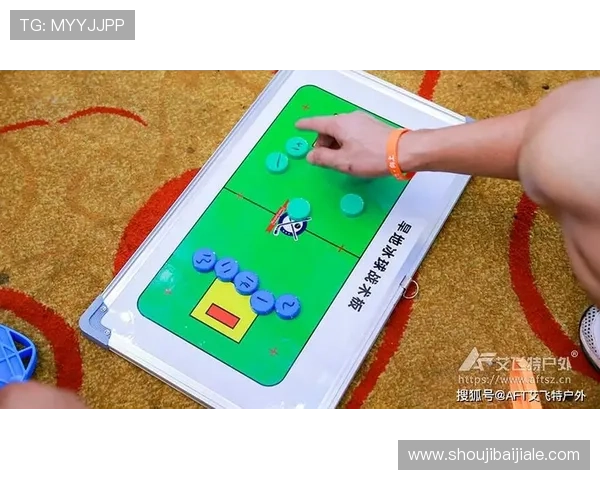 专业百家乐游戏策略推荐适合不同玩家水平的多样化战术分析与应用