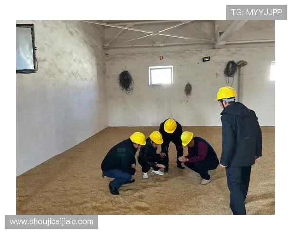 亚投真人平台安全保障措施详解确保玩家资金与信息安全 亚投真人平台安全保障措施详解确保玩家资金与信息安全