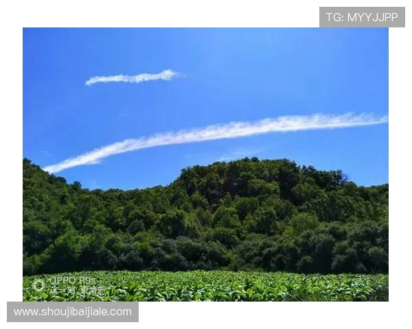 成为PA视讯大神的必备攻略指南让你在游戏中稳占优势位置 成为PA视讯大神的必备攻略指南让你在游戏中稳占优势位置